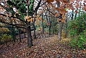 Parco Europa Autunno_067